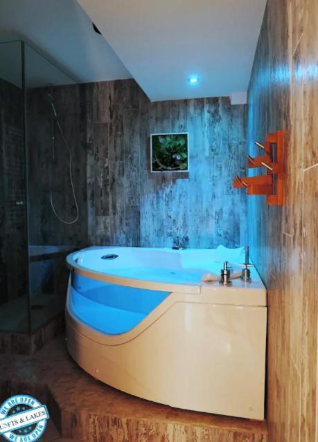 Le Cocon - Lofts & Lakes Certified 4-Stars Annecy Exteriör bild